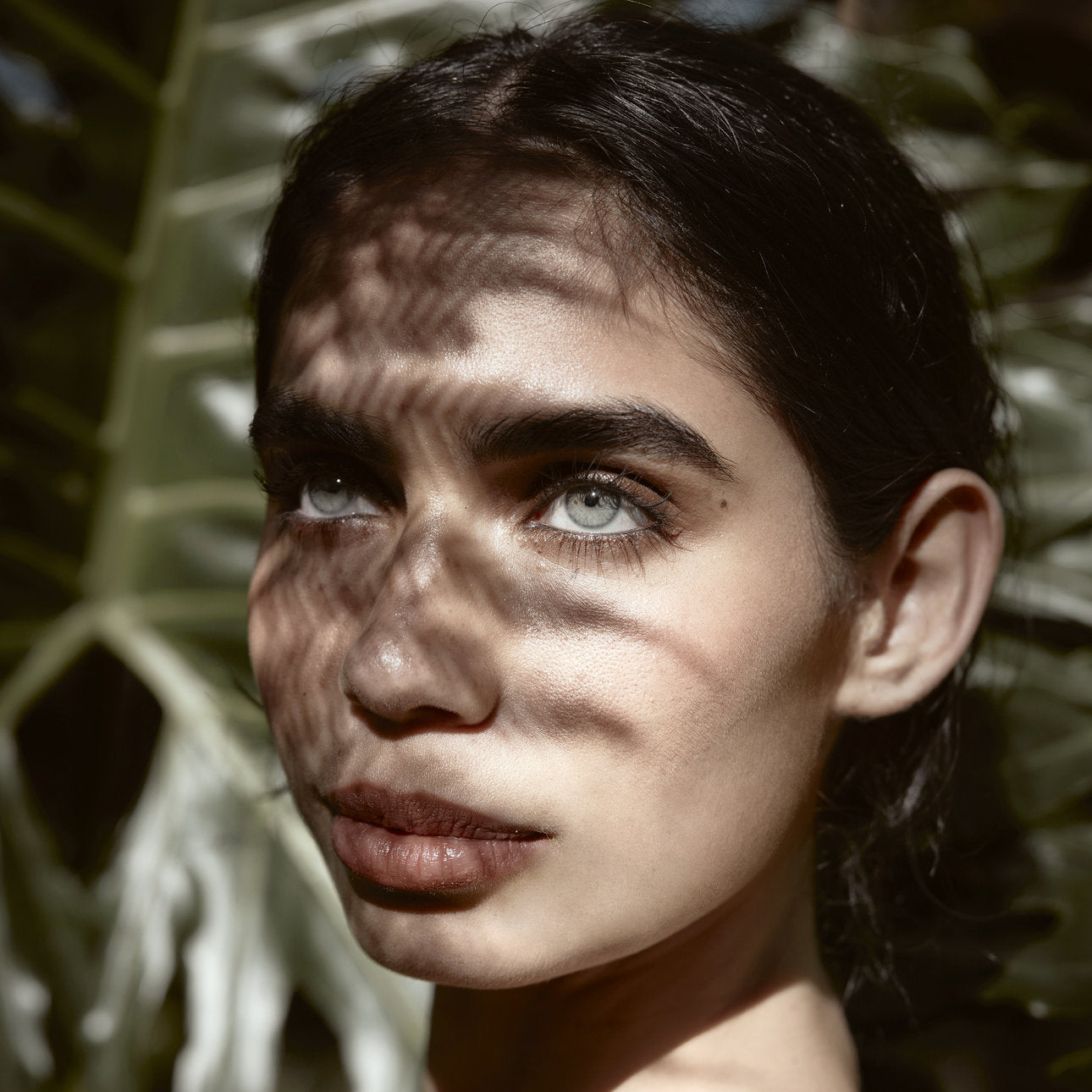 Nahaufnahme eines Gesichts mit betonten Augen und Blattschatten