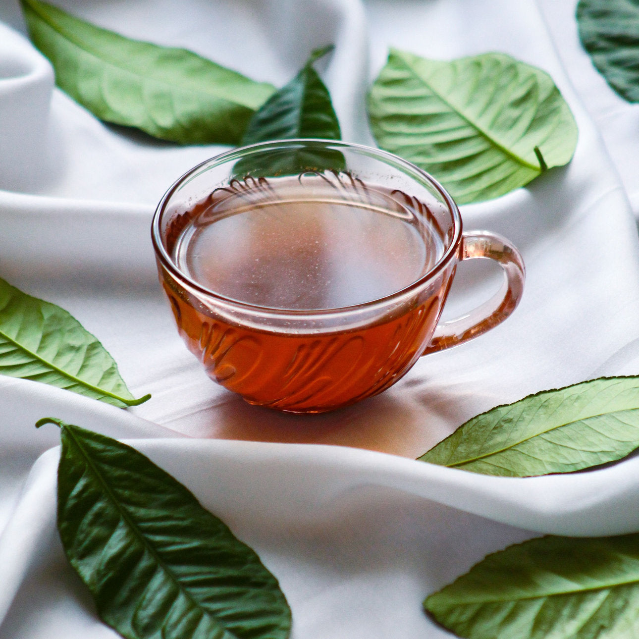 Glastasse mit Tee zwischen grünen Blättern – Kollektion Tee bei Curantus Naturkosmetik Münster