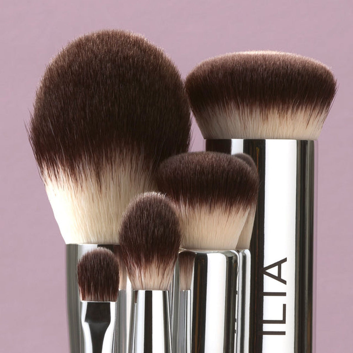 ILIA Beauty Finishing Powder Brush - Puderpinsel – Pinselköpfe der Serie