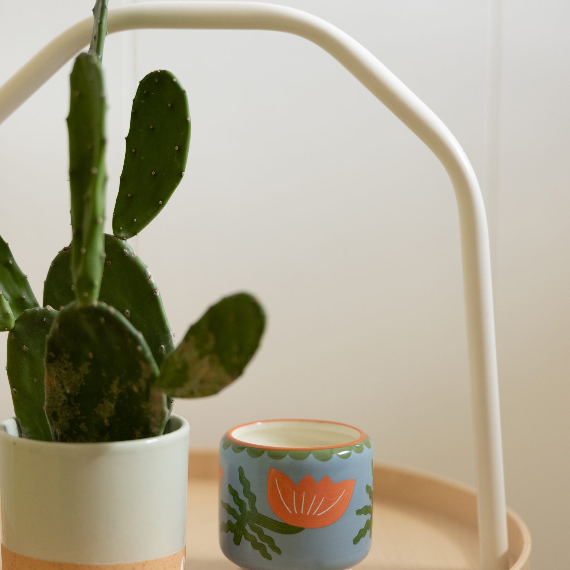 Paddywax A Dopo Keramik-Duftkerze Flower – Cactus Flower, 226g – Lifestyle